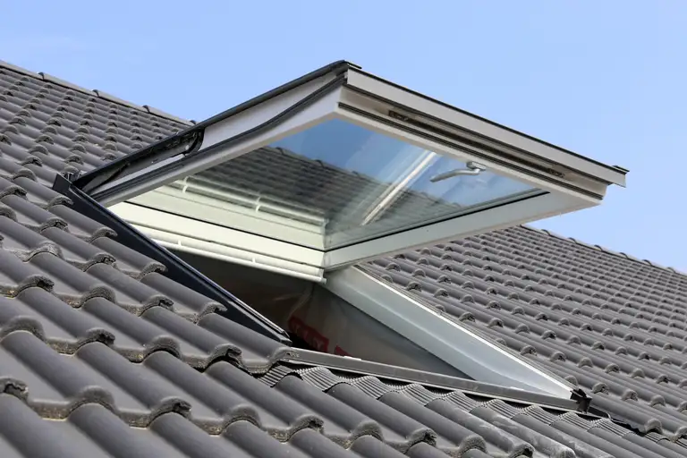 Skylights on a roof