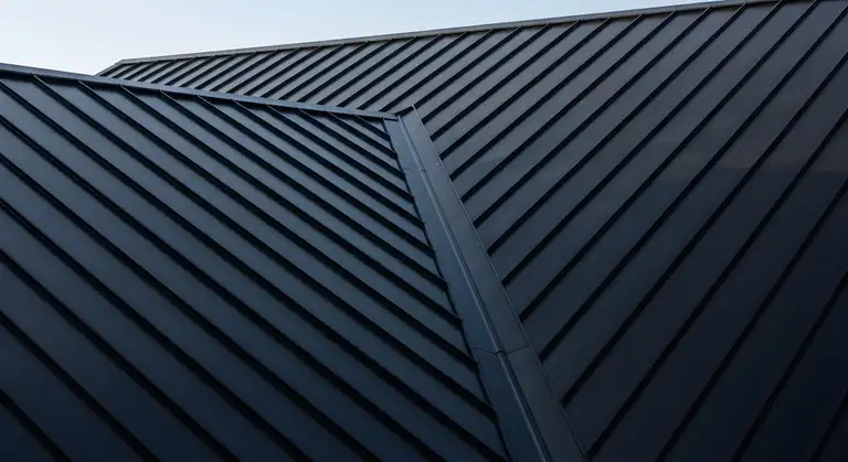 Dark metal roof with clean lines